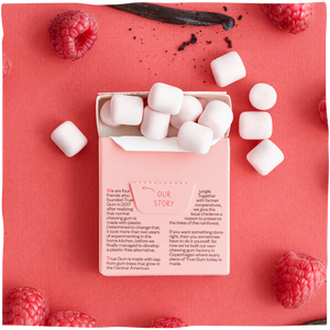 True Gum Himbeer & Vanille Kaugummischachtel 21g, Vorderansicht, Kaugummis, frische Himbeeren, Vanillestange