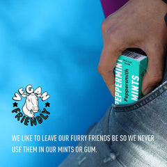 Peppersmith 100% Xylitol Mints - Pfefferminze