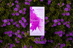 Solaris Fresh Bloom Teepackung mit lila Blumen im Hintergrund