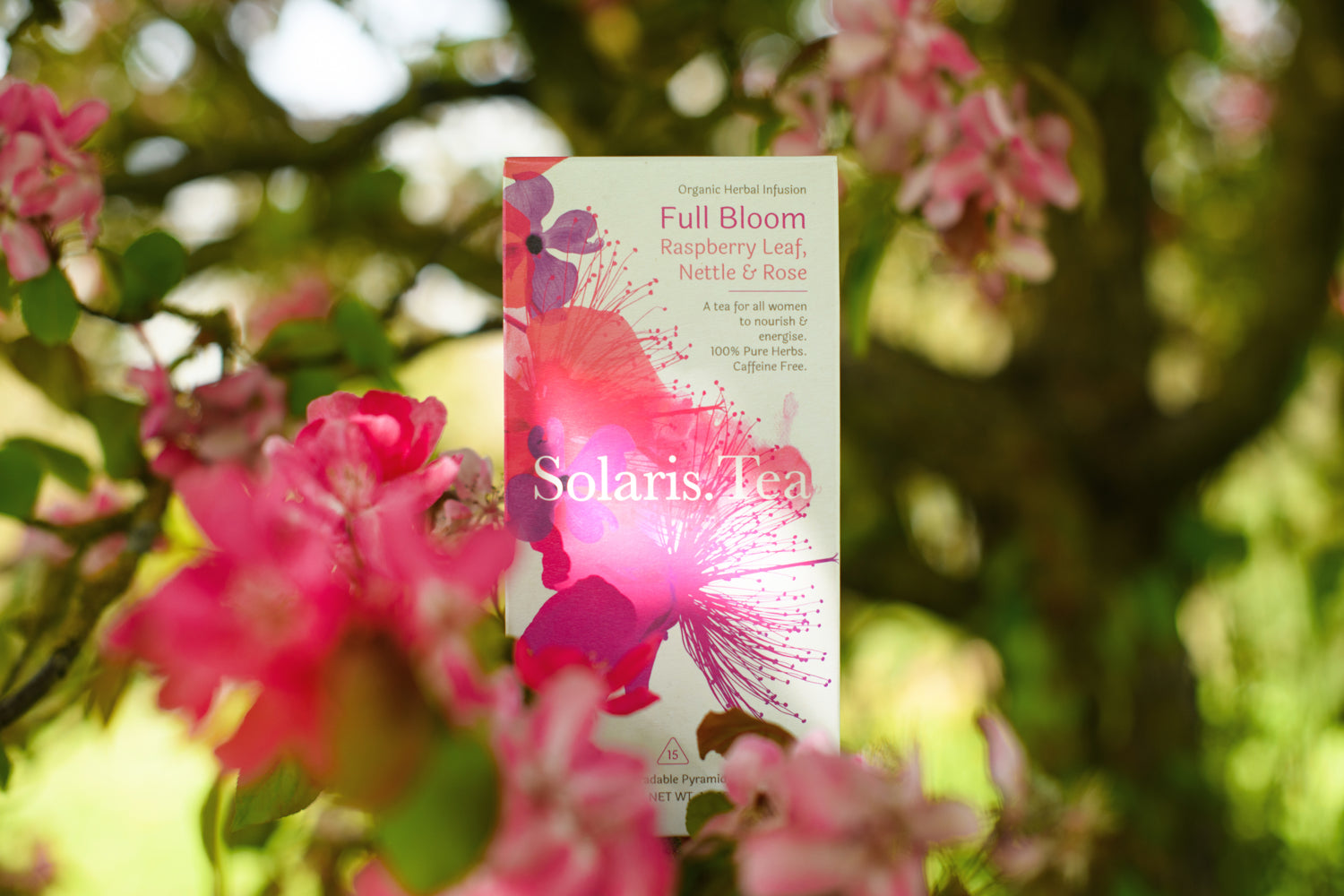 Solaris Full Bloom Teepackung mit pink Blumen im Hintergrund